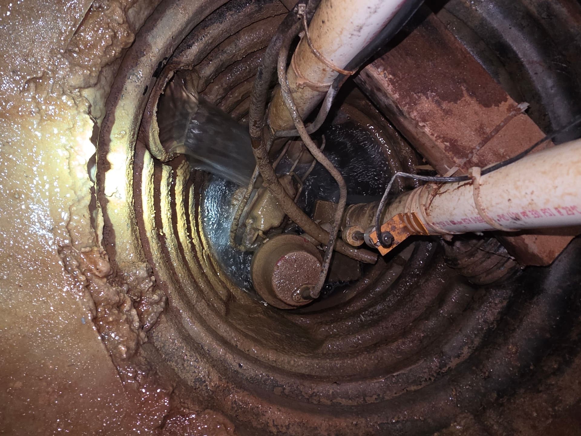 Gallery photos for Zoeller M98 Sump Pump Replacement Keeping Grand Blanc Basements Dry: Image #3