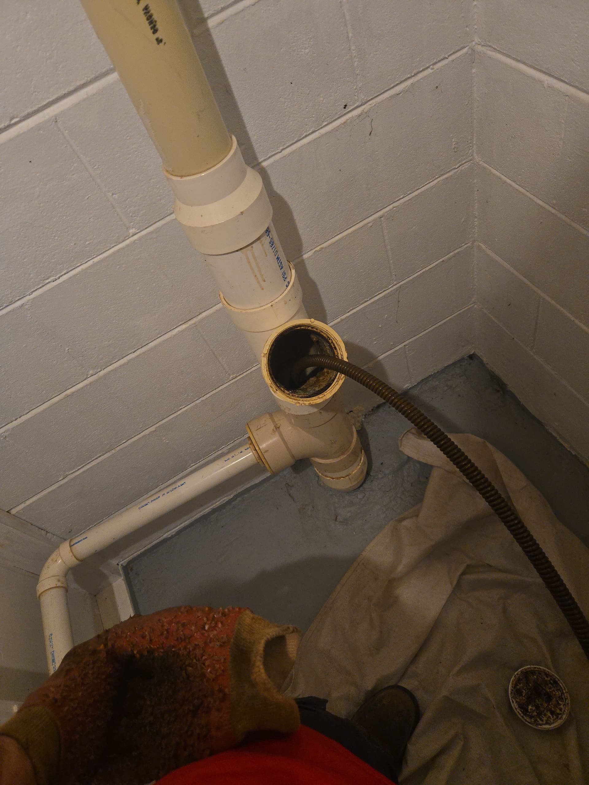 Gallery photos for Backed Up Main Drain Cleared and Flowing Again: Image #2